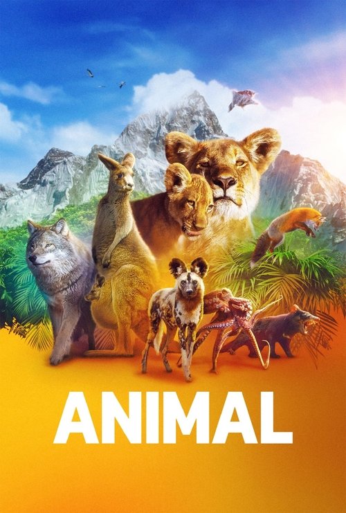Animal : 2.Sezon 4.Bölüm