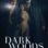 Dark Woods : 1.Sezon 6.Bölüm izle