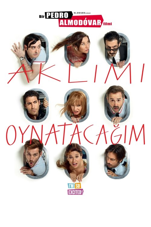 Aklımı Oynatacağım (2013)