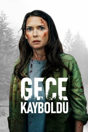Gece Kayboldu (2022)