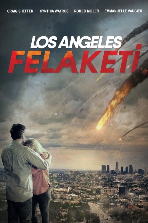 Los Angeles Felaketi (2020)