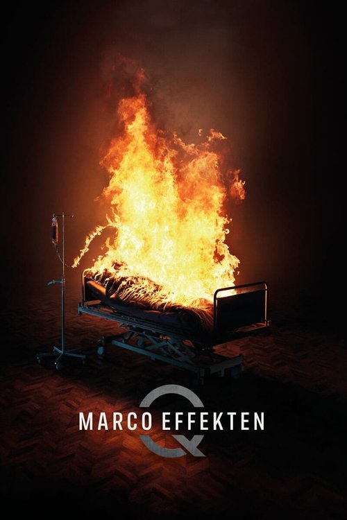 Marco Etkisi (2021)