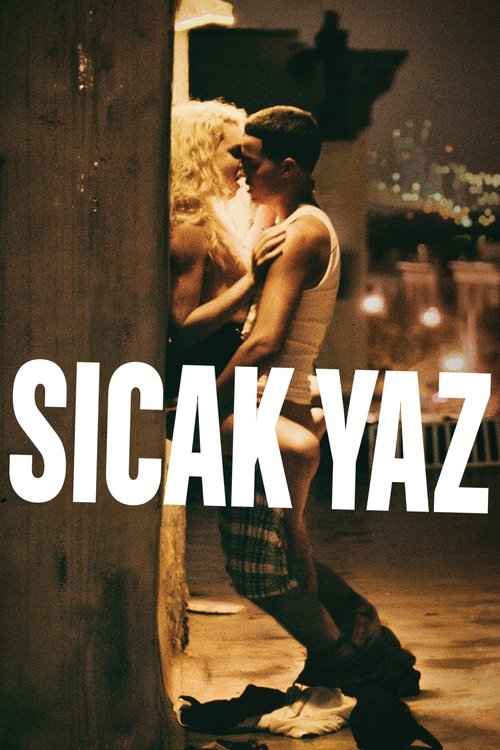 Sıcak Yaz (2016)