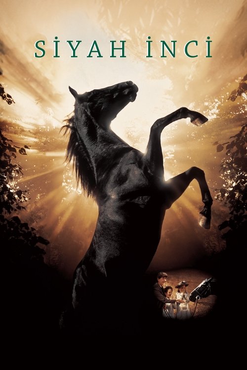 Siyah İnci (2020)