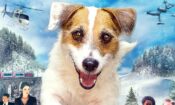 A Doggone Christmas (2016)