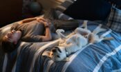 Kayıp Köpek (2023)