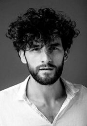 Corneliu Ulici