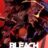 Bleach : 1.Sezon 256.Bölüm izle
