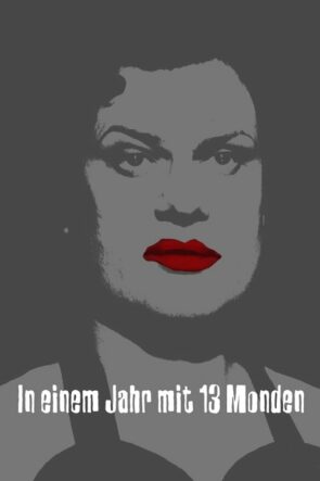 13 Ayla Bir Yılda (1978)