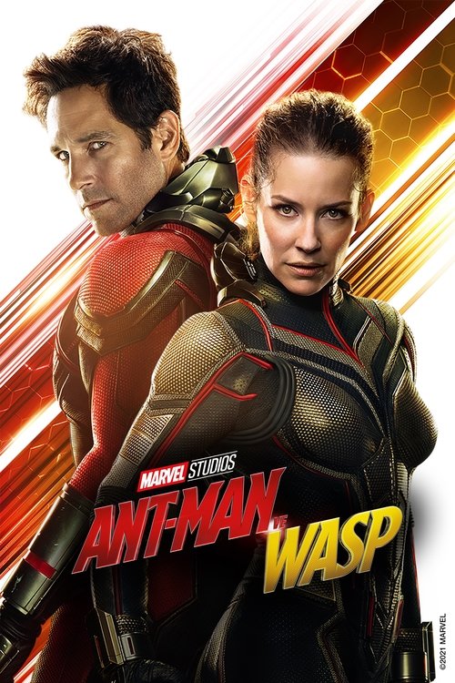 Ant-Man ve Wasp (2018)