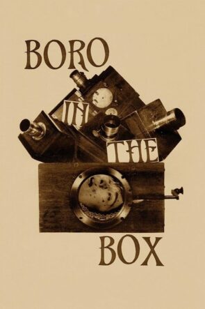 Boro in the Box (2014)