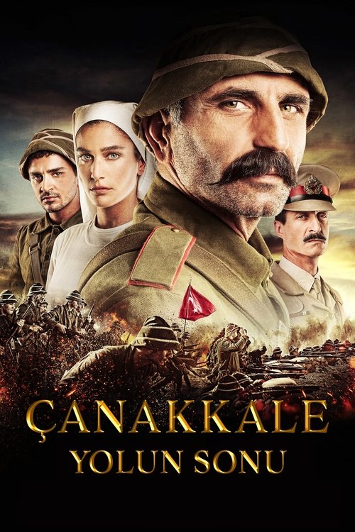 Çanakkale: Yolun Sonu (2013)