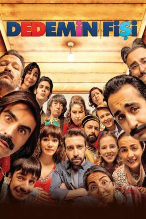 Dedemin Fişi (2016)