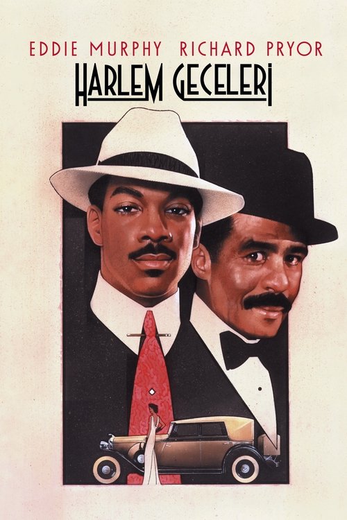 Harlem Geceleri (1989)