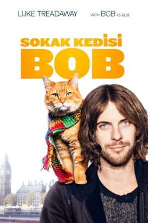 Sokak Kedisi Bob (2016)