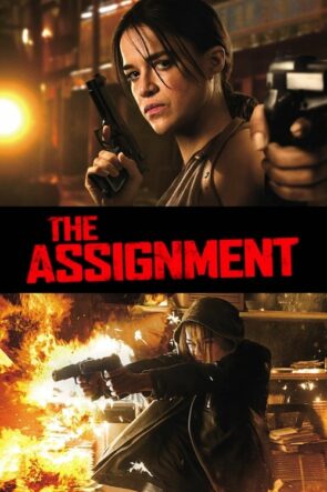 The Assignment (2016)