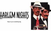 Harlem Geceleri (1989)