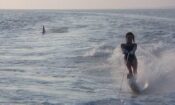 Jaws 2 (1978)