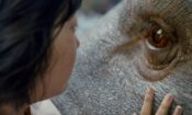 Okja (2017)