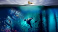 Blue Planet II izle