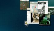 Don’t F**k with Cats Hunting an Internet Killer izle