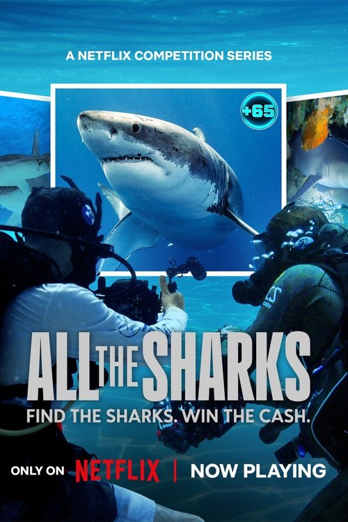 All the Sharks : 1.Sezon 5.Bölüm