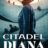 Citadel Diana : 1.Sezon 3.Bölüm izle