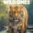 The Wild Ones : 1.Sezon 3.Bölüm izle