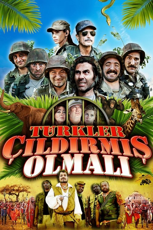 Türkler Çıldırmış Olmalı (2009)