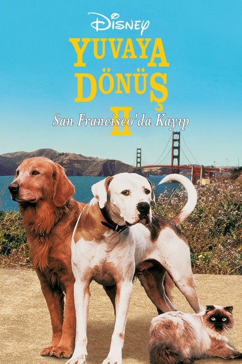 Yuvaya Dönüş II: San Francisco’da Kayıp (1996)