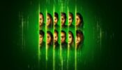 The Mole izle